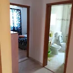 Hajdi *